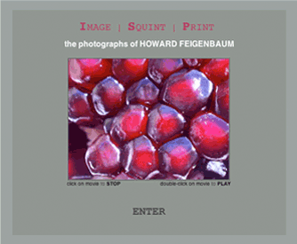ImageSquintPrint